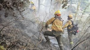 Incendios en la Patagonia: se quemó la casa de su amigo en El Bolsón y comenzó una colecta que se expandió