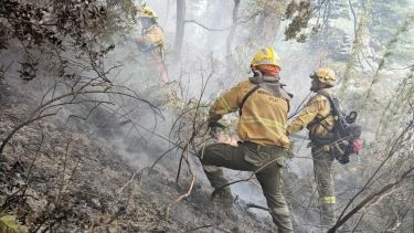 Incendio en El Bolsón. Foto: Gentileza Gobierno de Río Negro. 