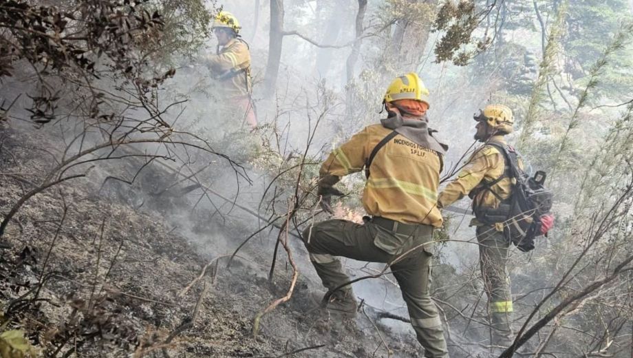 Incendios forestales. Foto: archivo 