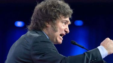 El presidente de la Argentina, Javier Milei.