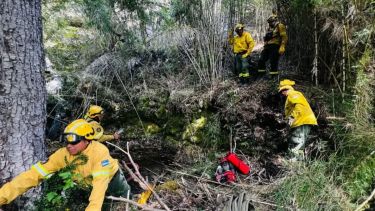 Incendios en la Patagonia: buenas noticias para los parques Lanín y Nahuel Huapi, ¡controlaron el fuego!