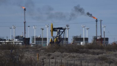 La producción impulsó el récord también a nivel nacional. Foto: Matías Subat. 