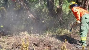 Incendios en la Patagonia: Bariloche con fuego en «fase final» y parque Lanín en alerta, lo que pasó el sábado