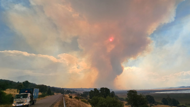 Incendios en Chubut: el Gobierno intervino el Parque Nacional Los Alerces