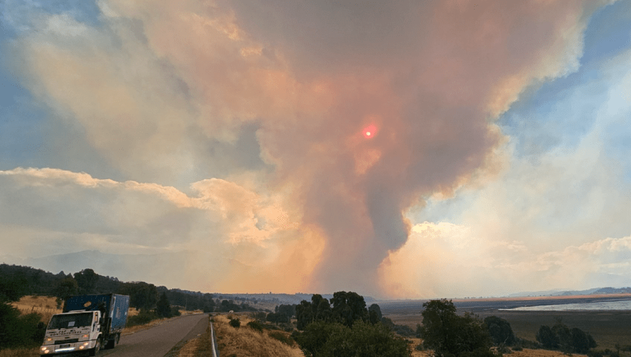 parque Los Alerces. Foto: archivo. 