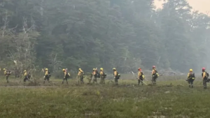 Trabajadores de Parques Nacionales en alerta: ATE denuncia otros 30 despidos «arbitrarios e injustificados»
