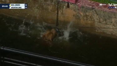 Un perro casi pierde la vida en el partido de Boca Juniors.