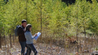 El trabajo de los especialistas del Parque Lanín ayuda a mantener el cuidado de la flora. Foto: Parque Nacional Lanín. 