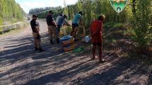 Imagen de Los atraparon robando frutas en chacras del Alto Valle: iban a venderlas en los semáforos