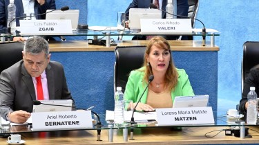 Matzen es también secretaria de la Mujer de la UCR Nacional. Foto: Marcelo Ochoa.