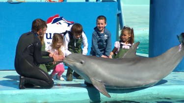 Aquarium de Mar del Plata baja el telón: ¿qué pasará con sus habitantes marinos?