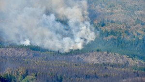 Atropellaron a un policía durante el combate de los incendios en Chubut: piden dadores de sangre