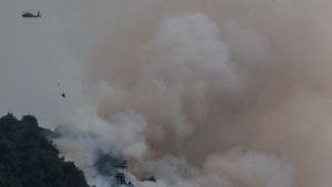 Rolando Figueroa firmó un convenio millonario para mitigar daños de los incendios en parque Lanín