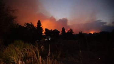 Foto: Gobierno de Río Negro. 