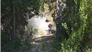 Alerta en Villa Traful por seis focos de incendios intencionales