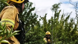 Incendio en Los Alerces: «Son intencionales y lo padecemos desde hace 10 años. El responsable ha madurado su técnica»
