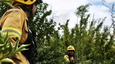 El incendio se desató el miércoles pasado por la noche. Foto: gentileza