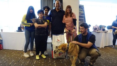 Adopción de mascotas en Neuquén.-