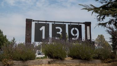 Tres nietos recuperados y dos libros imperdibles: Daniel y Sabrina llegan a Roca a contar su historia