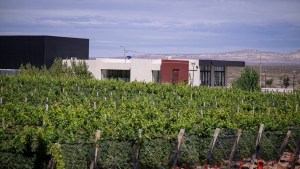 Fiesta de la Vendimia 2025 en Cutral Co, con Iván Noble, gastronomía y paseos: día y entradas