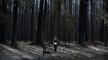 Una mujer arroja agua con un bidón adentro de la raíz de un árbol calcinado porque abajo sigue caliente y con riesgo de volver a prender. Foto: Chino Leiva