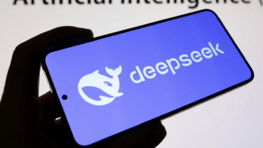 DeepSeek. 