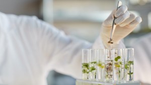 Premian a un biólogo del Conicet por su investigación para una agricultura sostenible