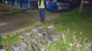 Los atraparon con 46 truchas arcoíris en La Angostura. Foto: gentileza.