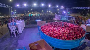 Fiesta de la Manzana 2025 en Roca: último día para participar del concurso de peso