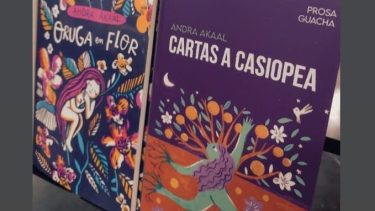 Editado por Ediciones Las Guachas, Cartas a Casiopea puede conseguirse en las librerías neuquinas Mala Palabra Casa Librera o en Cosa Seria Libros.  (Foto: Yamilé Cohen)
