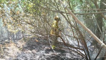 Un transformador se incendió en Centenario: vuelve la luz y la presión de agua, informó EPEN