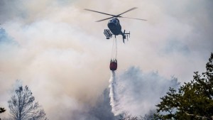 Incendios forestales: diputados dieron despacho a la nueva Ley de Manejo de Fuego de Neuquén