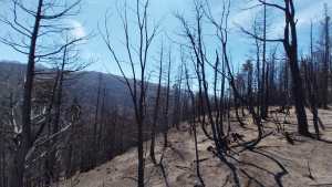El día después de los incendios que asolaron la comarca andina