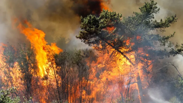 El nuevo subsecretario de Ambiento dijo que había "prioridad cero" en materia de incendios. 