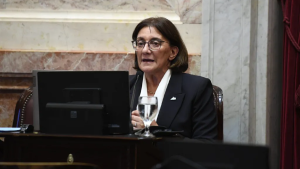 La curiosa frase de una senadora de Río Negro por la actitud de Javier Milei: «Psicólogos de oficio»