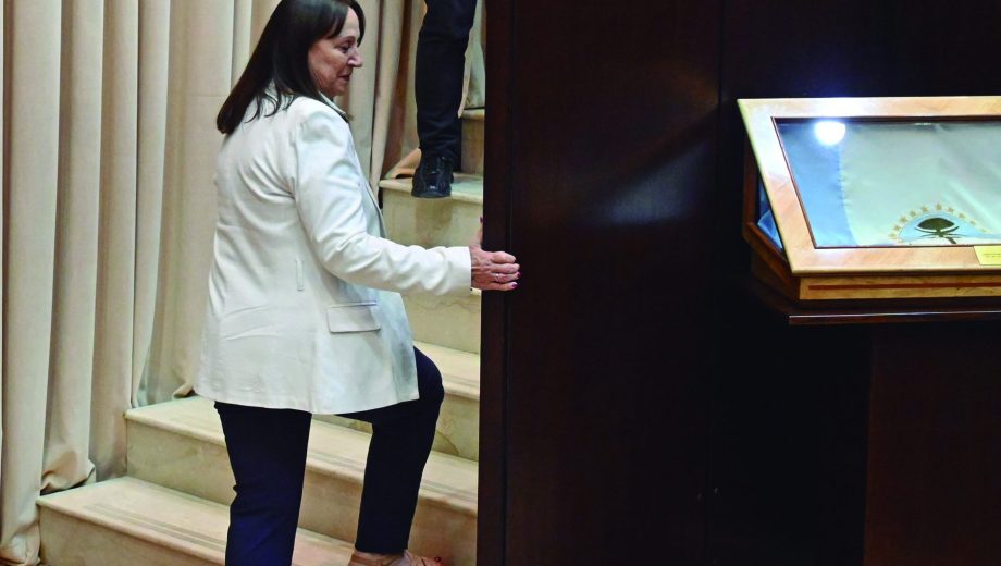 La vicepresidenta a cargo de la Legislatura, Zulma Reina. Foto: Florencia Salto.