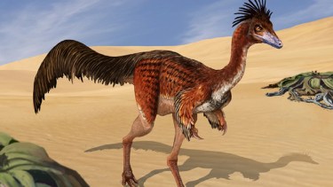 Bonapartenykus-ultimus