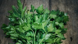 Los beneficios de poner una ramita de perejil en la billetera 