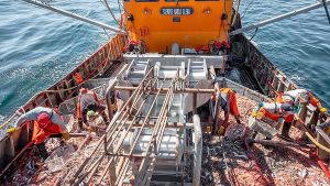 Chubut: el gobierno reclama el fin de las retenciones para la pesca en medio de una crisis del sector