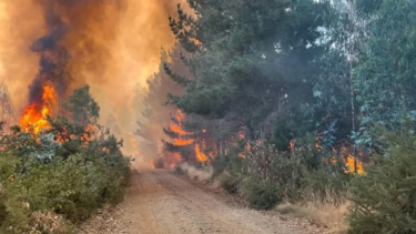 Los equipos de emergencia trabajan arduamente en el combate de los focos. Foto: gentileza.