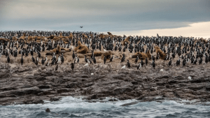 El pueblo de Chubut que es un refugio de biodiversidad en un paisaje maravilloso