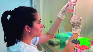 Las científicas comprobaron que su labor en fertilidad animal tenía un enorme potencial en casos humanos. Foto: Conicet.