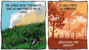 «Patagonia crepita», la nueva y triste tira de Chelo Candia en el Voy