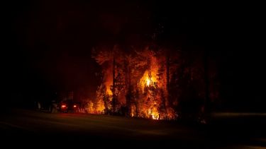 Foto: Marcelo Martínez. 