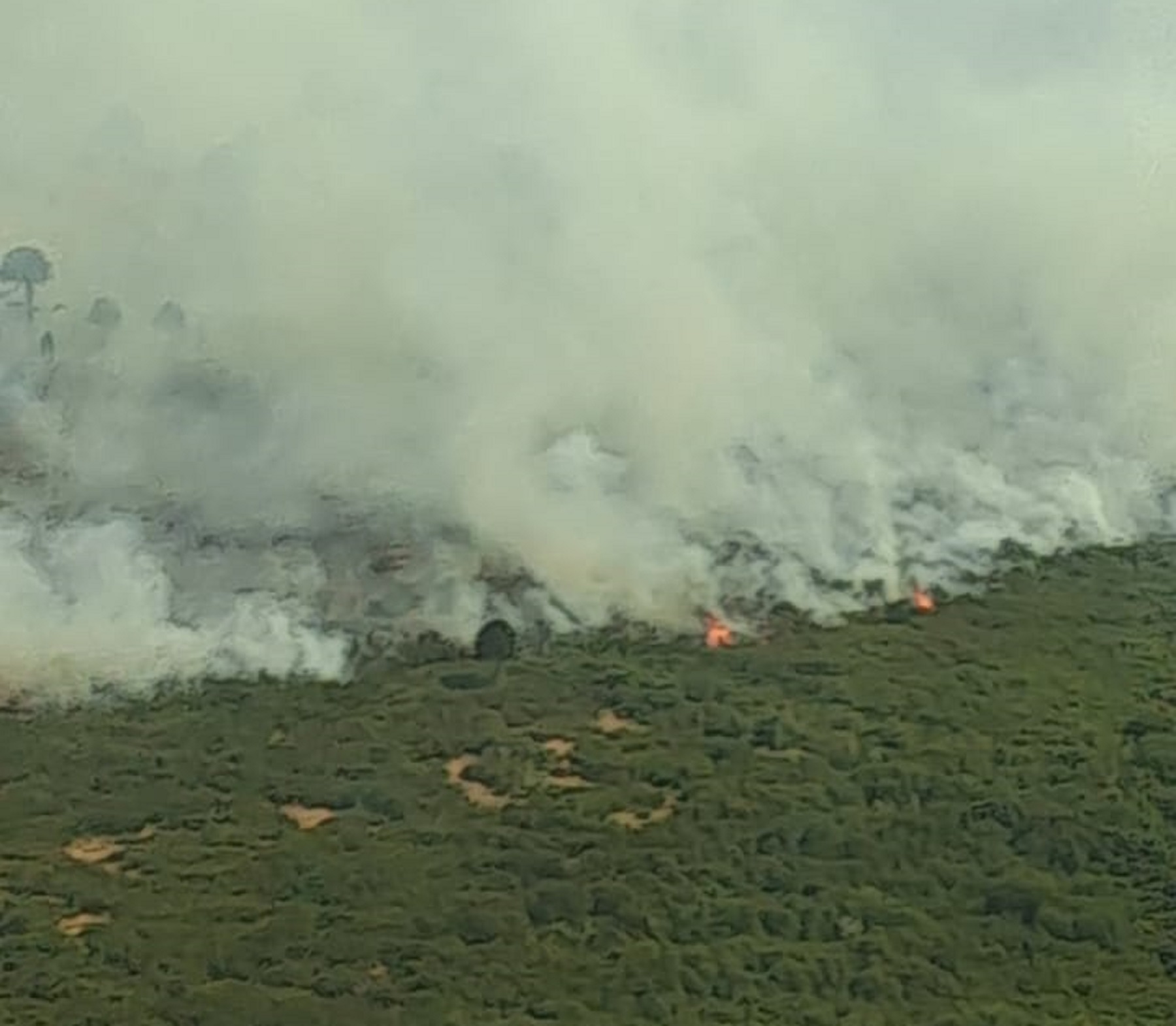 Evacuados por el fuego en parque Lanín. Foto: gentileza. 