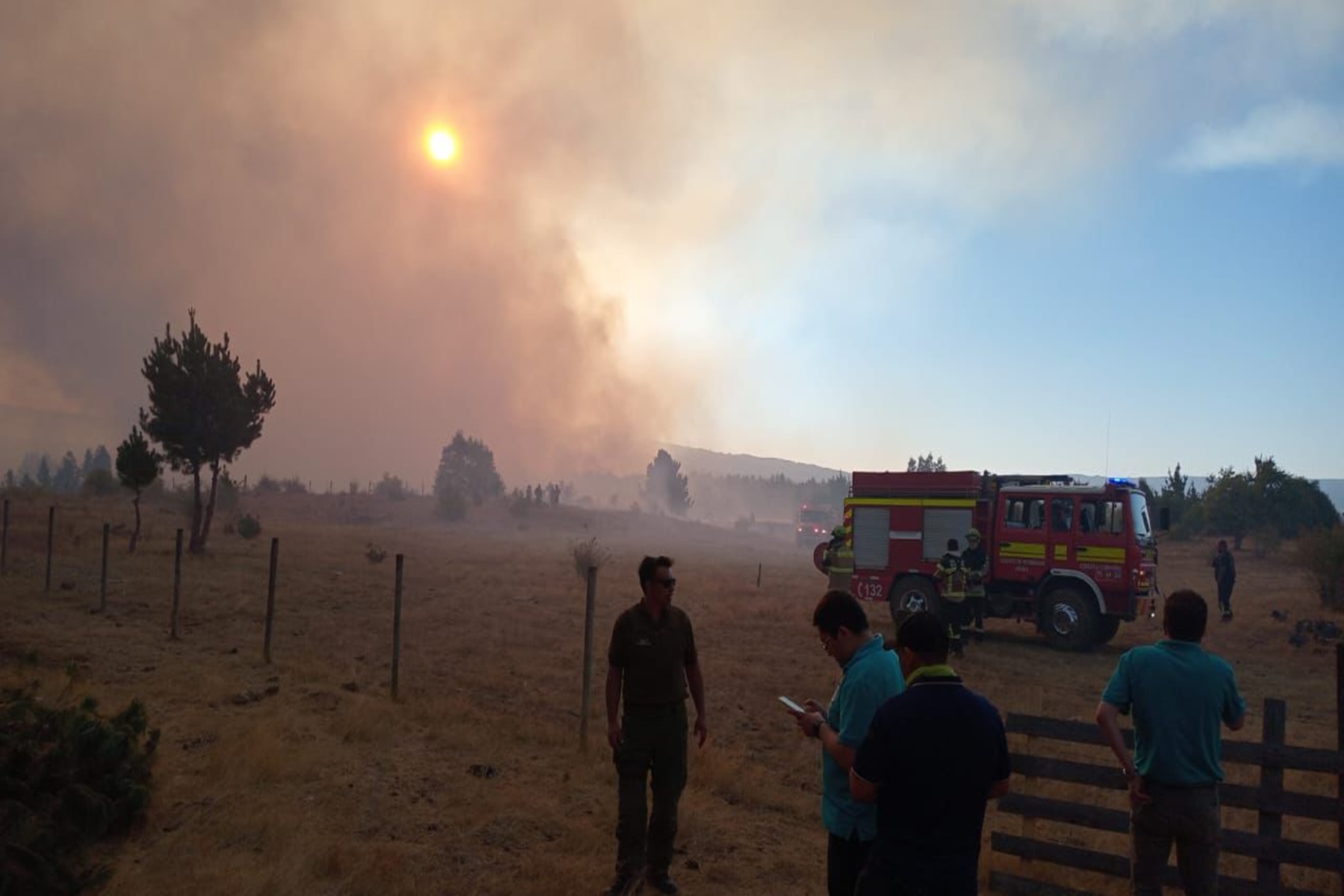 Incendios forestales en Chile. Foto: gentileza Carabineros.