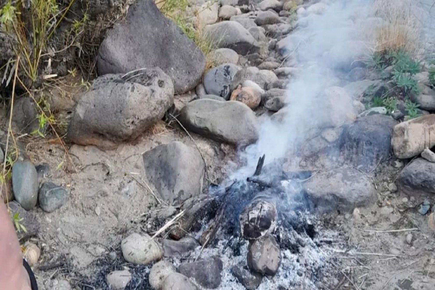 Fauna extinguió 132 fogones por la imprudencia de acampantes. Foto: gentileza.