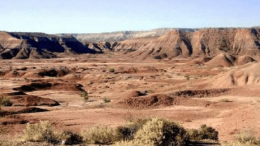 Se realizaron levantamientos de muestras entomológicas y de fauna cadavérica. Además, encontraron prendas de vestir y un celular en desuso. Foto: gentileza.