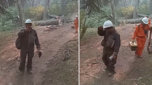 Video | Emotivo reconocimiento a un docente de Neuquén que eligió pasar su cumpleaños combatiendo el fuego