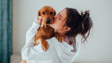 La relación de los argentinos con sus mascotas refleja una profunda transformación en la dinámica familiar.-